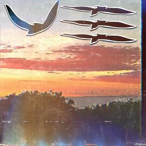 security!(feat. Pink Siifu) (Explicit)