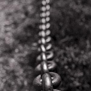 Sani e Forti (Explicit)