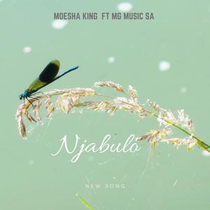 Njabulo (feat. Moesha King)