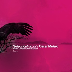Seleccion Natural Parte 4 (Original Mix)