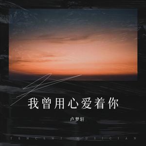 我曾用心爱着你