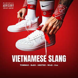 Vietnamese Slang (Explicit)