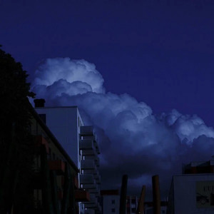 我不要桃花 (特别版)