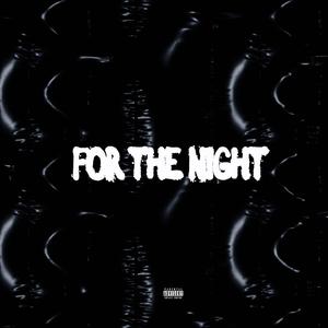 FOR THE NIGHT (Explicit)