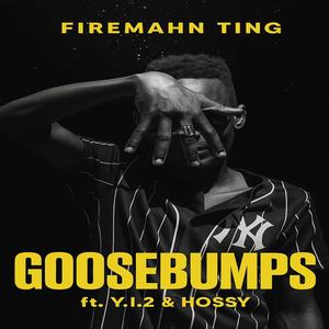GOOSEBUMPS (feat. Y.I.2 & HOSSY)