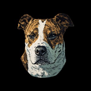 can ya shine down (Explicit)