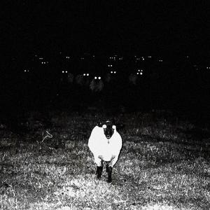 Sanctuary (Explicit)