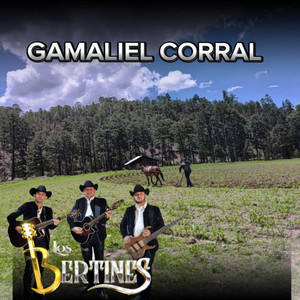 Los Bertines - Gamaliel corral