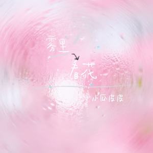 雾里看花 (温柔女生版)