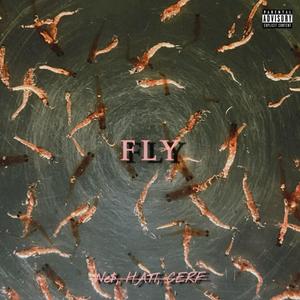 Fly (feat. Hati & Cerf) (Explicit)