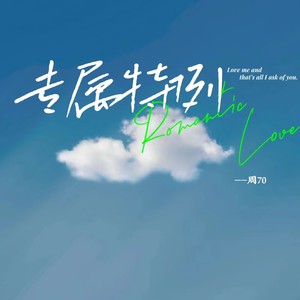 专属特例