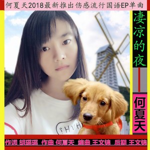 凄凉的夜 (伴奏)