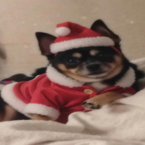 Christmas List-BigSkizzle