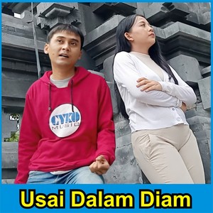 Usai Dalam Diam