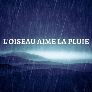 L'oiseau Aime La Pluie