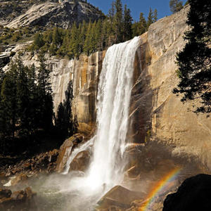 BBCDaddy (Freestyle, Pt. 5) (feat. BBCDaddy)