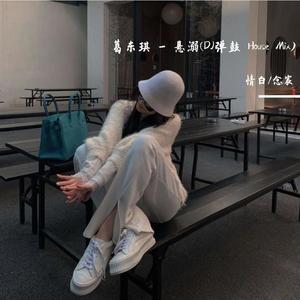 葛东琪-悬溺 (DJ House Mix|情白 / 念宸 remix)