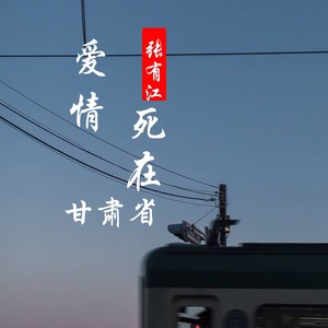 爱情死在甘肃省