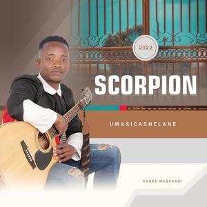 Ubani Ongavika Lenduku