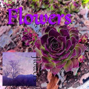 Flowers (Explicit)