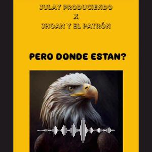 Pero donde estan? (feat. Jhoan y El Patron)