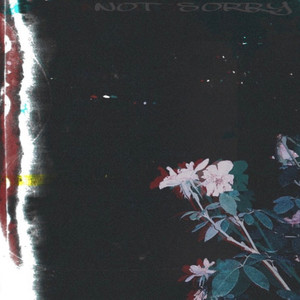 Backroads (Explicit)