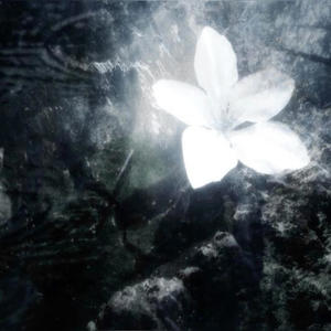 sorrow (feat. creepies)