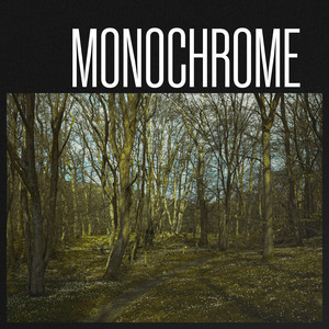 Monochrome
