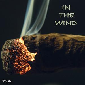 In the Wind (Explicit)