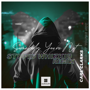 Somebody You're Not (Stupid Whizkid Extended Remix)