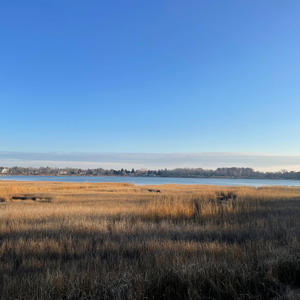 winter beach