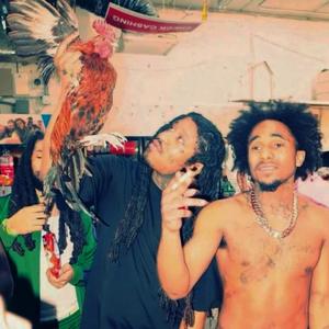 CHICKEN (feat. Lu Steppa) (Explicit)