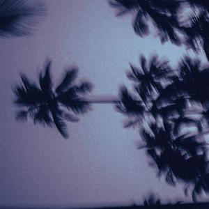 California Was The Dream (Explicit)