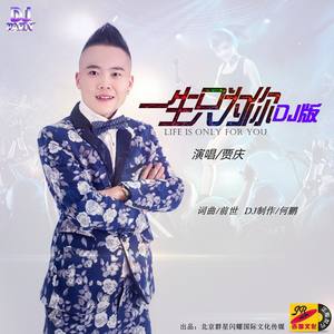 一生只为你 (DJ何鹏版)