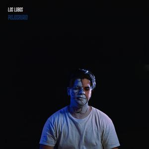 Los Lobos (feat. el lorenzo pa)