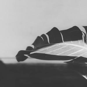 this moment (feat. Alexa Cirri)