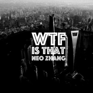 【编曲】WTF Is That (Inst.)