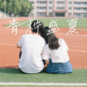 青柠盛夏封面