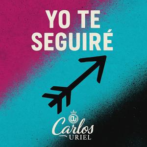 YO TE SEGUIRÉ