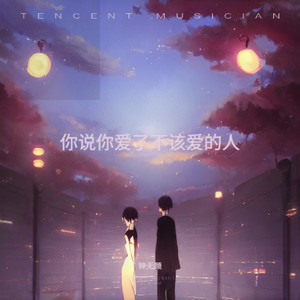 你说你爱了不该爱的人