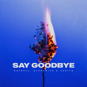 Say Goodbye