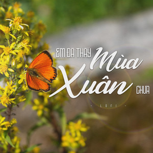 Em đã thấy mùa xuân chưa (Lofi)