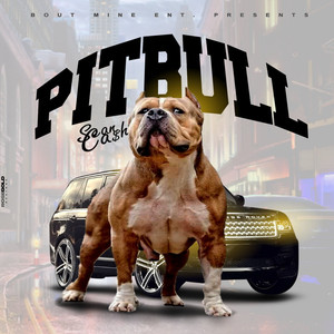 Pitbull (Explicit)