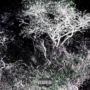 Refresh (Ego Death) (Explicit)