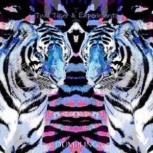 Two Tigers & Experiments