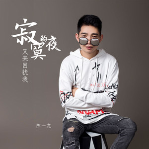 寂寞的夜又来困扰我 (DJ沈念版伴奏)