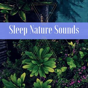 Sleep Nature Sounds