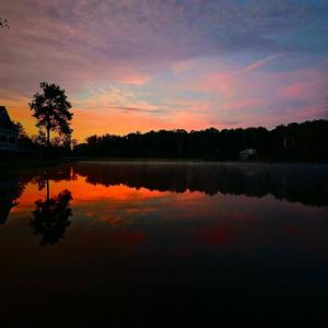 Last Night, I Dreamt of Oblivion