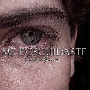 Me Descuidaste