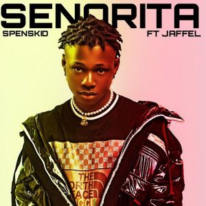 Senorita (Explicit)